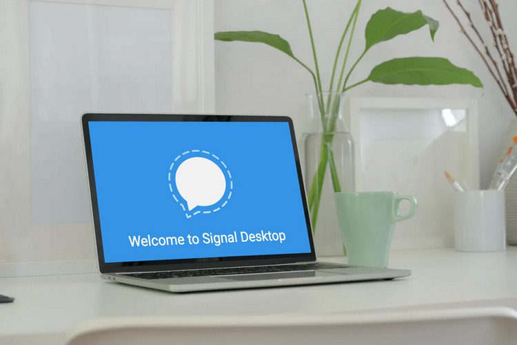 Hur man använder Signal på skrivbordet (Windows och Mac)
