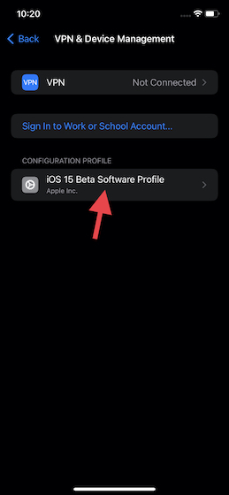 nhấn vào Hồ sơ phần mềm iOS Beta