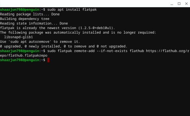 Installera Flatpak i Linux på Chromebook