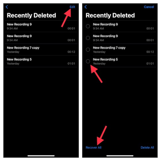 Khôi phục các bản ghi âm bị xóa vô tình trong ứng dụng Voice Memos trên iPhone 