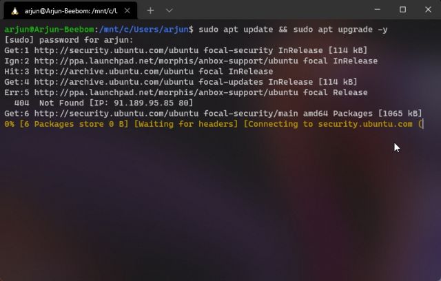 Tùy chỉnh WSL / Ubuntu trong Windows Nhà ga với Oh My Posh