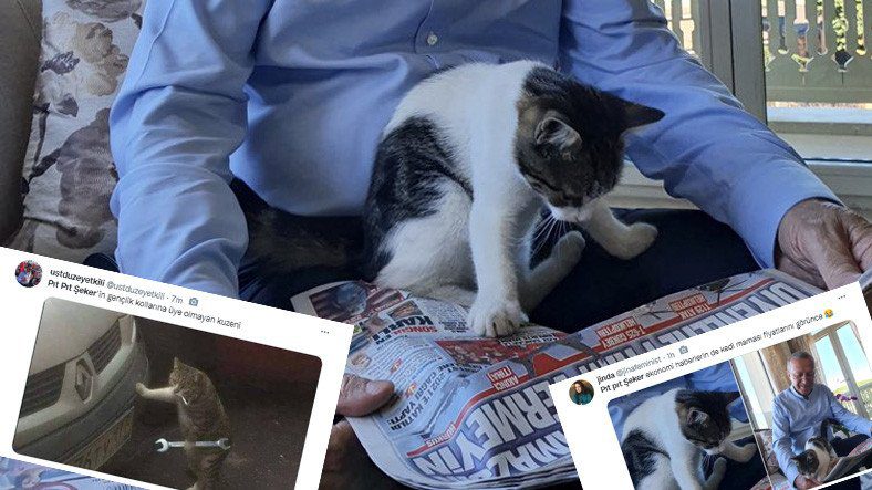 The President's Cat Sharing, TwitterNó có trong chương trình nghị sự