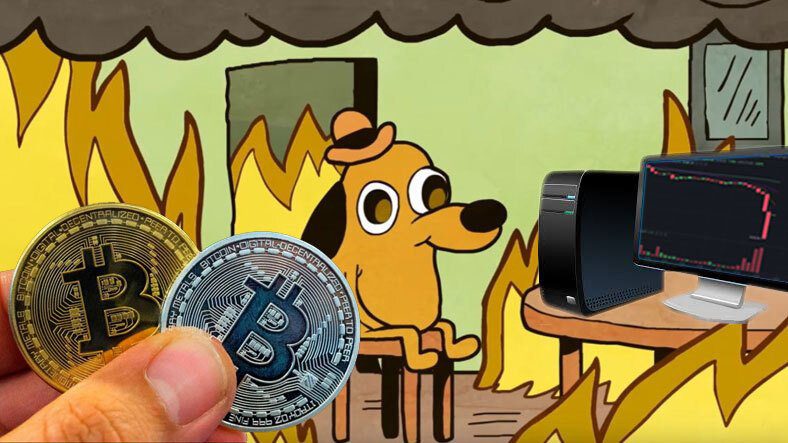 Phản ứng của phương tiện truyền thông xã hội đối với sự sụt giảm đột ngột của Bitcoin
