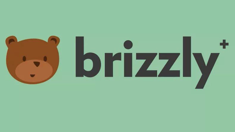 Có Công cụ chỉnh sửa Tweet Twitter Giao diện: Brizzly