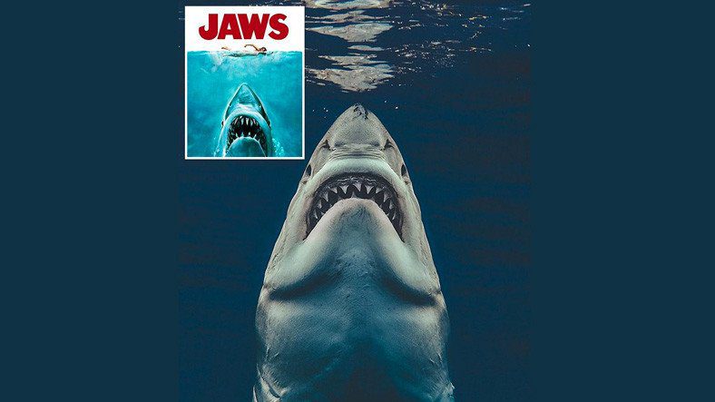 Bức ảnh biến áp phích phim The Jaws thành hiện thực