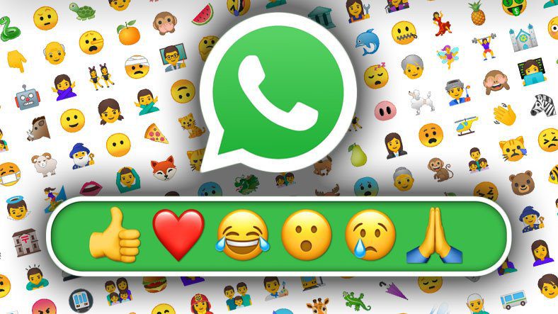 Bạn có thể phản ứng với tin nhắn trên WhatsApp bằng bất kỳ biểu tượng cảm xúc nào!