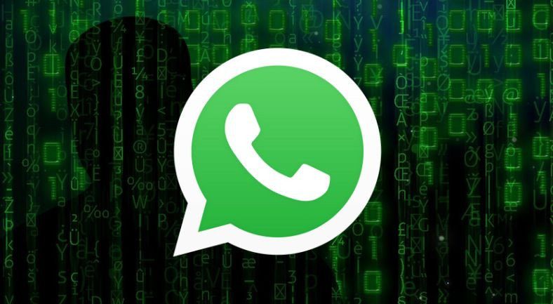 Tính năng bảo mật mới từ WhatsApp: Ẩn trực tuyến