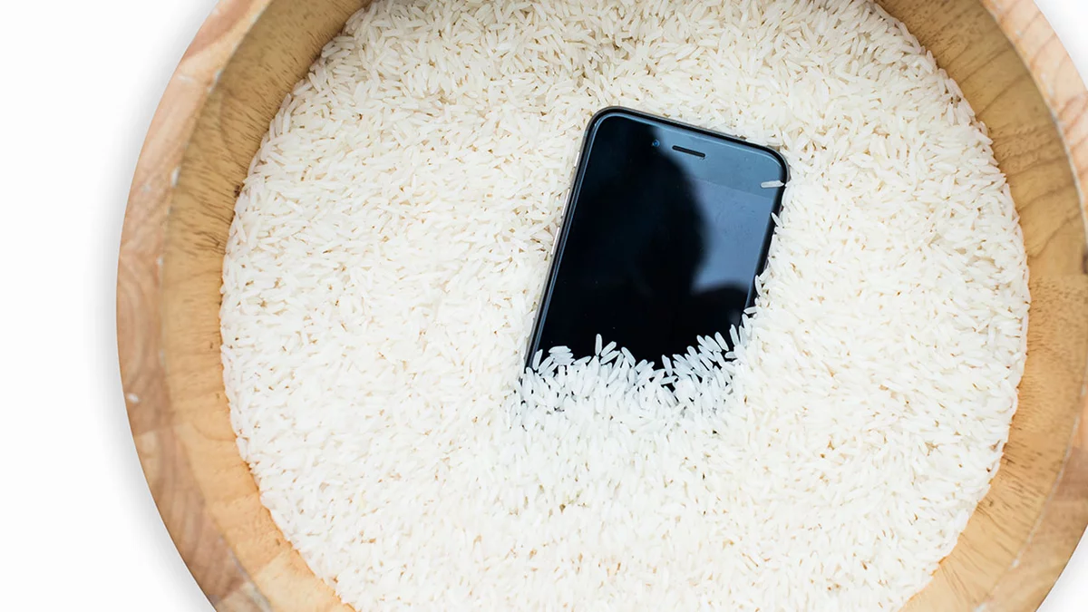 điện thoại thông minh trong gạo