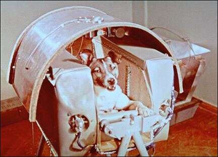 Sputnik Dog Laika-2 viên nang © ND / NASA