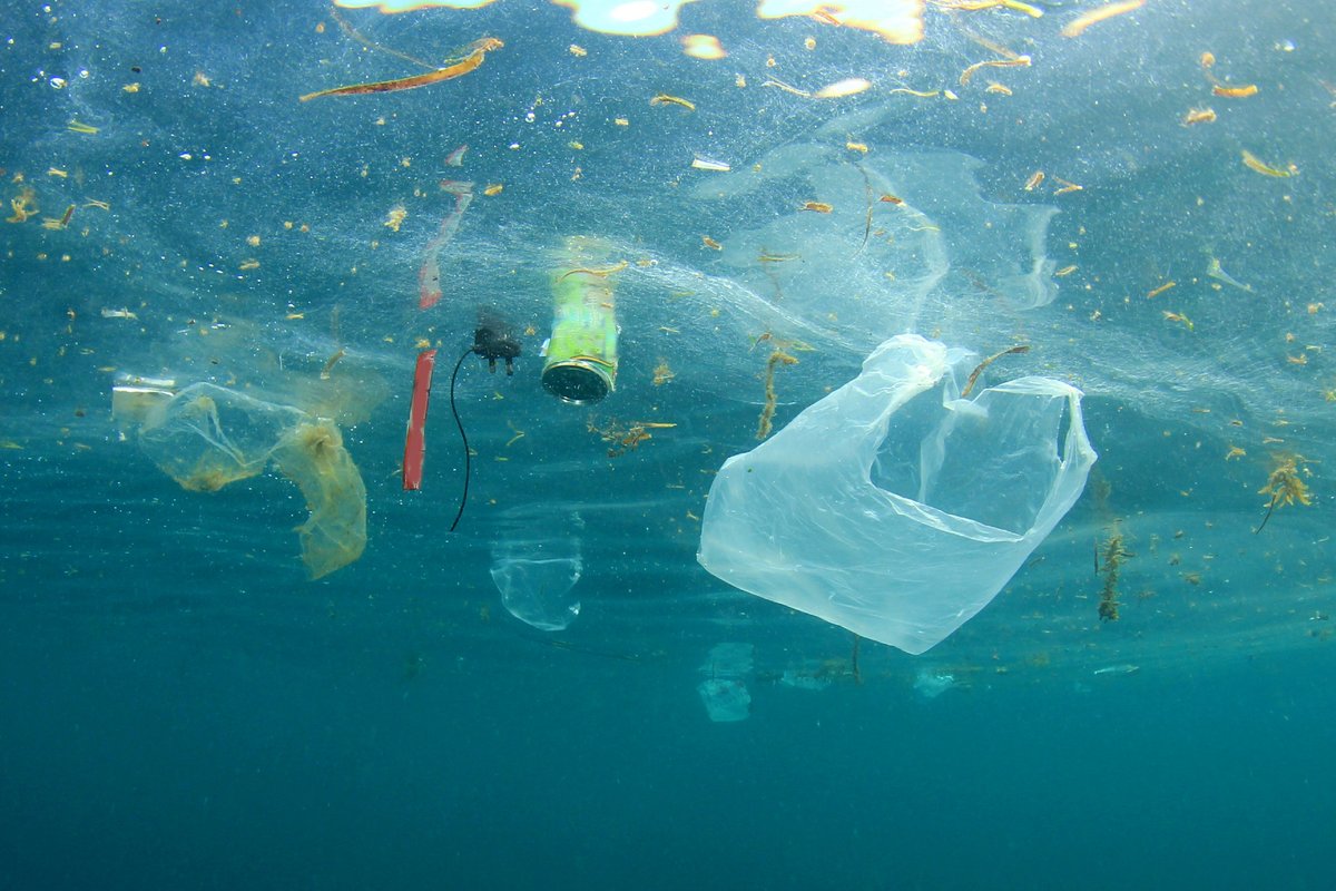 plastföroreningar