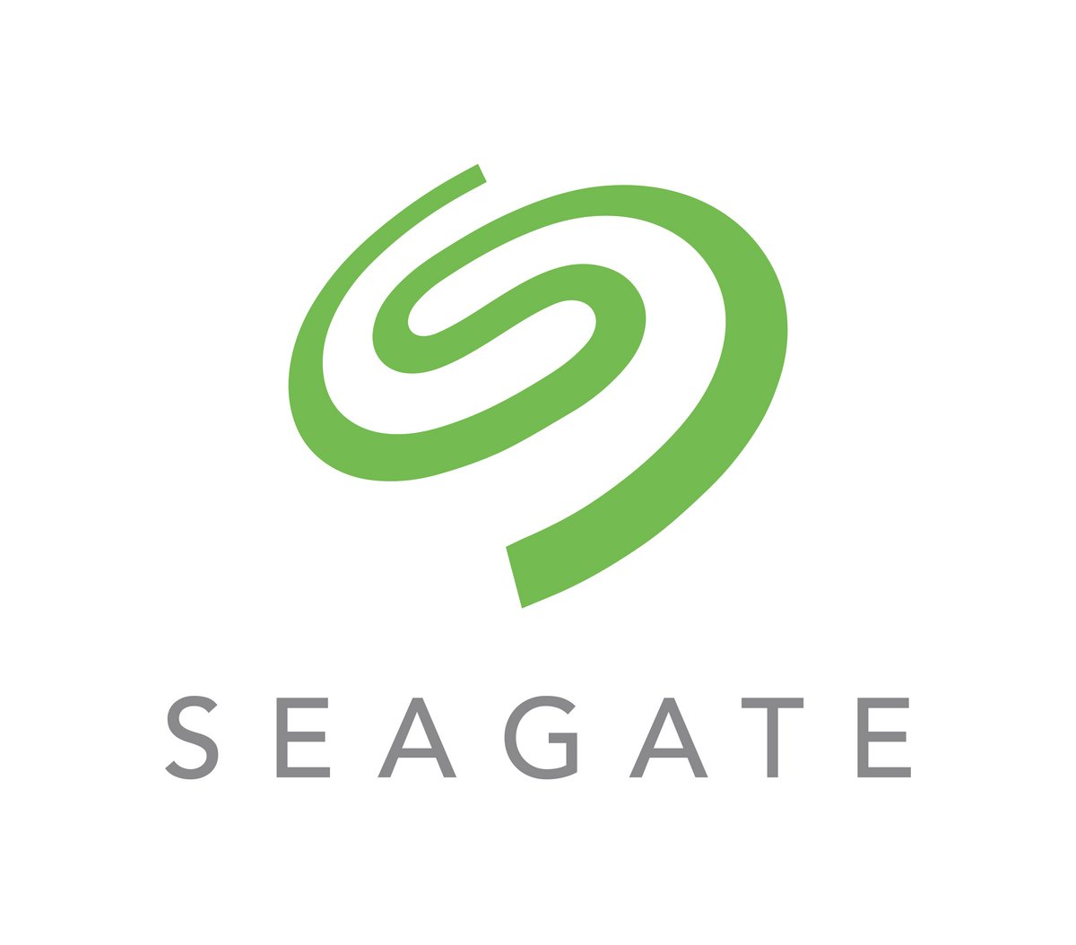 Logo của Saegate © Seagate
