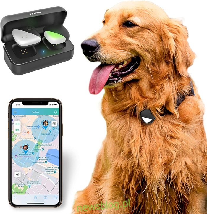 Trình theo dõi GPS cho thú cưng PetFon