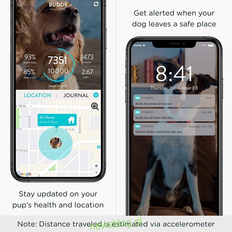Thiết bị theo dõi GPS FitBark cho chó |  Sức khỏe & Vị trí Cổ áo theo dõi thú cưng thông minh