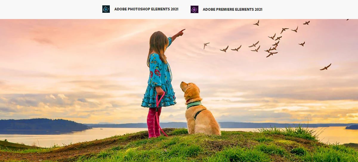 Adobe lança o Photoshop Elements 2021 e o Premiere Elements 2021