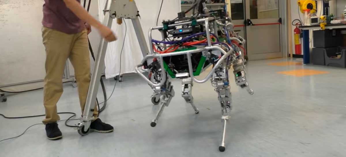 Cientistas estão treinando robô de quatro patas para andar em barras de equilíbrio