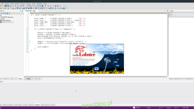 Cách cài đặt Codelobster trên Linux