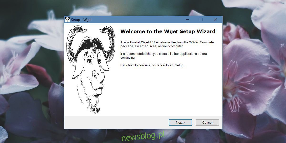 Cách cài đặt và sử dụng Wget trên hệ thống của bạn Windows 10