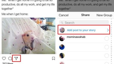 Cách chia sẻ bài đăng trên instagram trong câu chuyện của bạn