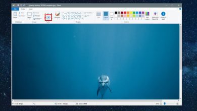Cách chọn màu từ hình ảnh trong hệ thống Windows 10