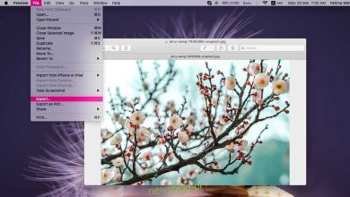Cách chuyển ảnh JPEG, PNG sang HEIC trên macOS