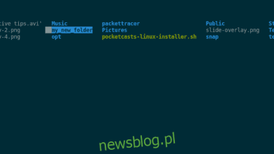 Cách dùng bash để tạo thư mục trên linux [Guide]
