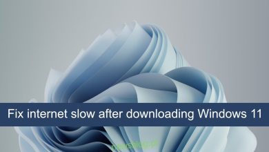 Cách khắc phục internet chậm sau khi tải xuống hệ thống Windows 11?