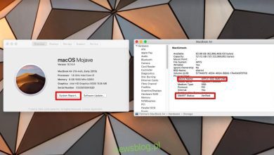 Cách kiểm tra trạng thái SSD trên macOS