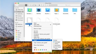 Cách lấy liên kết trực tiếp đến các tệp iCloud Inside Finder trên macOS