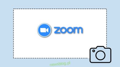 Cách sử dụng công cụ chụp ảnh màn hình cuộc họp Zoom