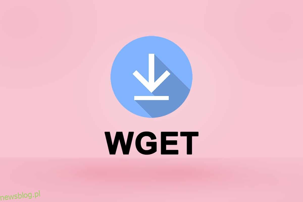 Cách tải xuống, cài đặt và sử dụng WGET cho Windows 10