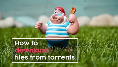 Cách tải xuống tệp từ torrent: Hướng dẫn tải xuống torrent