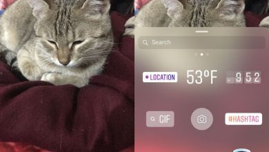 Cách thêm GIF vào câu chuyện trên Instagram của bạn