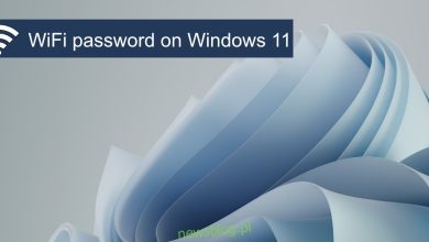 Cách tìm mật khẩu WiFi trên hệ thống Windows 11?