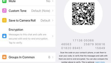 Cách xác minh mã bảo mật Whatsapp cho một số liên lạc