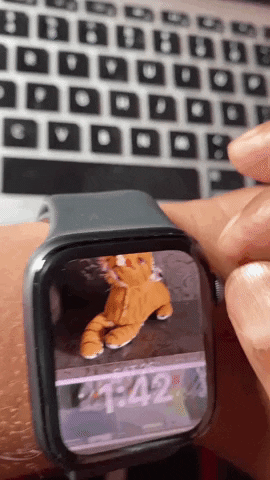 Chân dung Mặt đồng hồ không hoạt động Apple Watch? Đây là cách khắc phục!