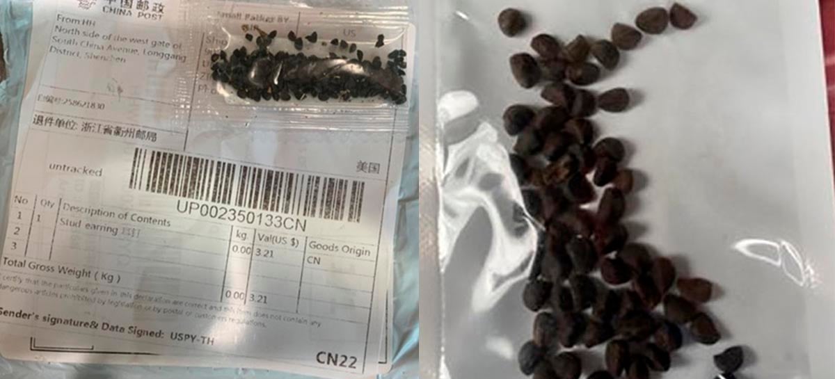 Cidasc alerta sobre pacotes com sementes misteriosas vindas da China