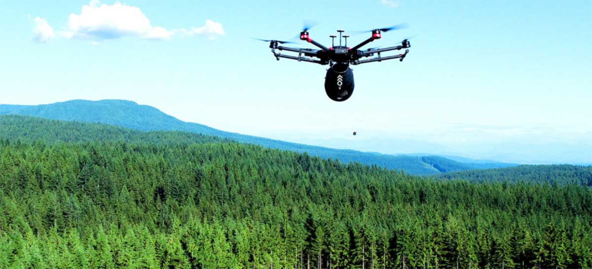 Drone Flash Forest planta árvores 10x mais rápido que humanos