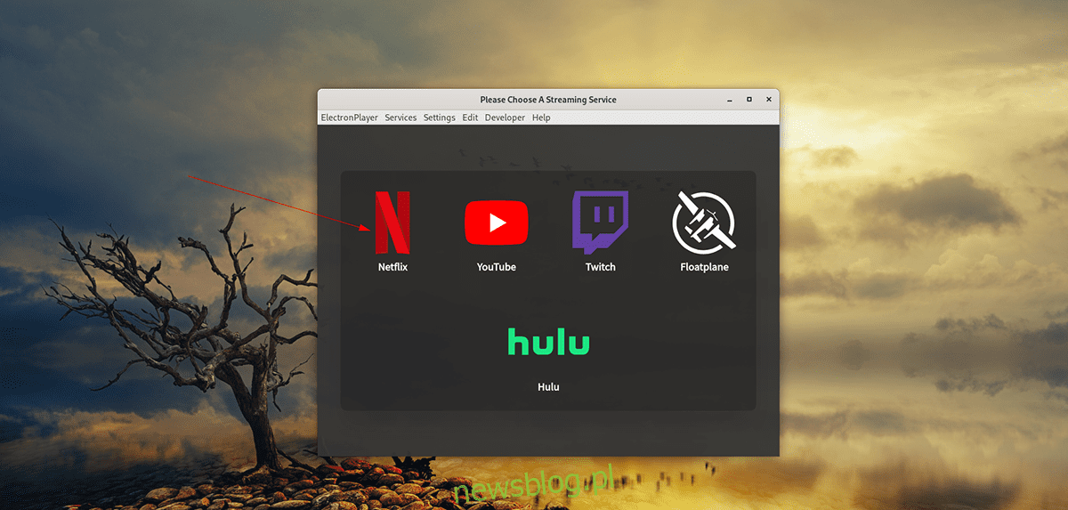 Làm cách nào để xem Netflix trên máy tính để bàn Linux với Electroplayer?