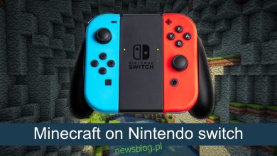 Minecraft trên Nintendo Switch có những tính năng gì?