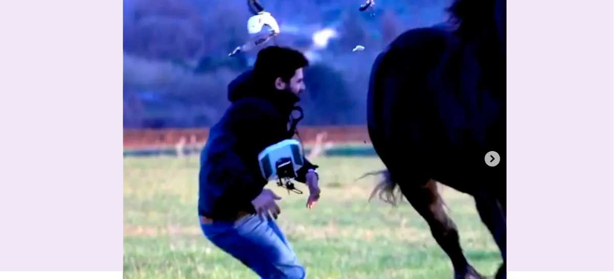 Cavalo atropela piloto de drone FPV - veja o vídeo
