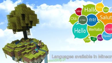 Những ngôn ngữ nào có sẵn trong Minecraft?