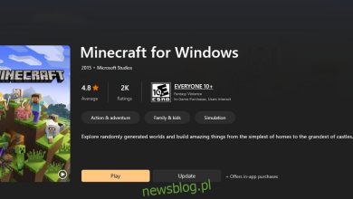 Phiên bản Minecraft Bedrock là gì?