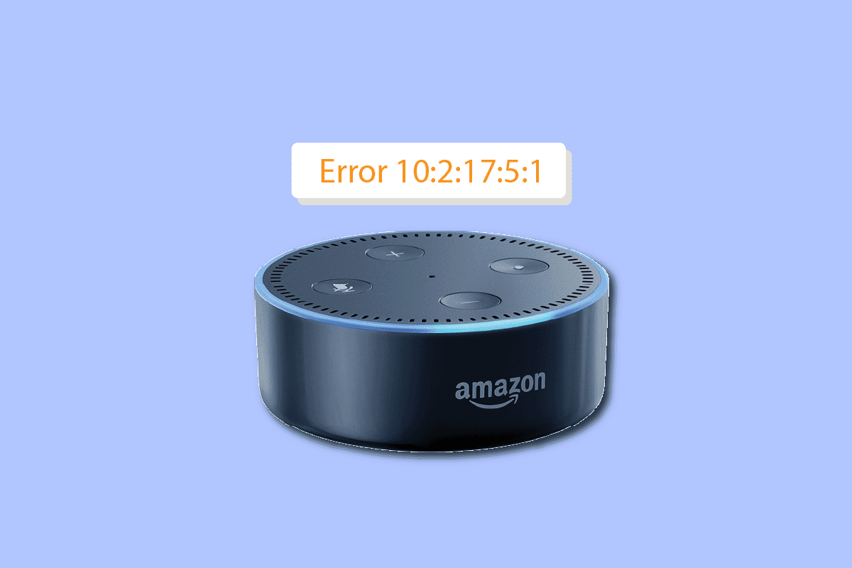 Sửa lỗi Alexa 10 2 17 5 1  trong Echo Dot