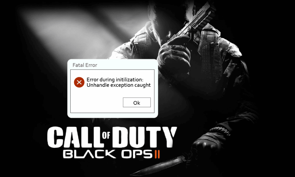 Sửa lỗi Caught Unhandled Exception trong CoD Black Ops 2