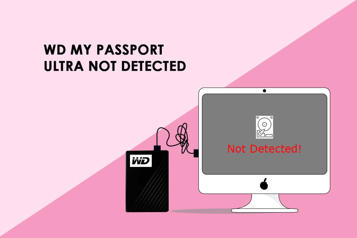 Sửa lỗi WD My Passport Ultra không được phát hiện trên hệ thống Windows 10