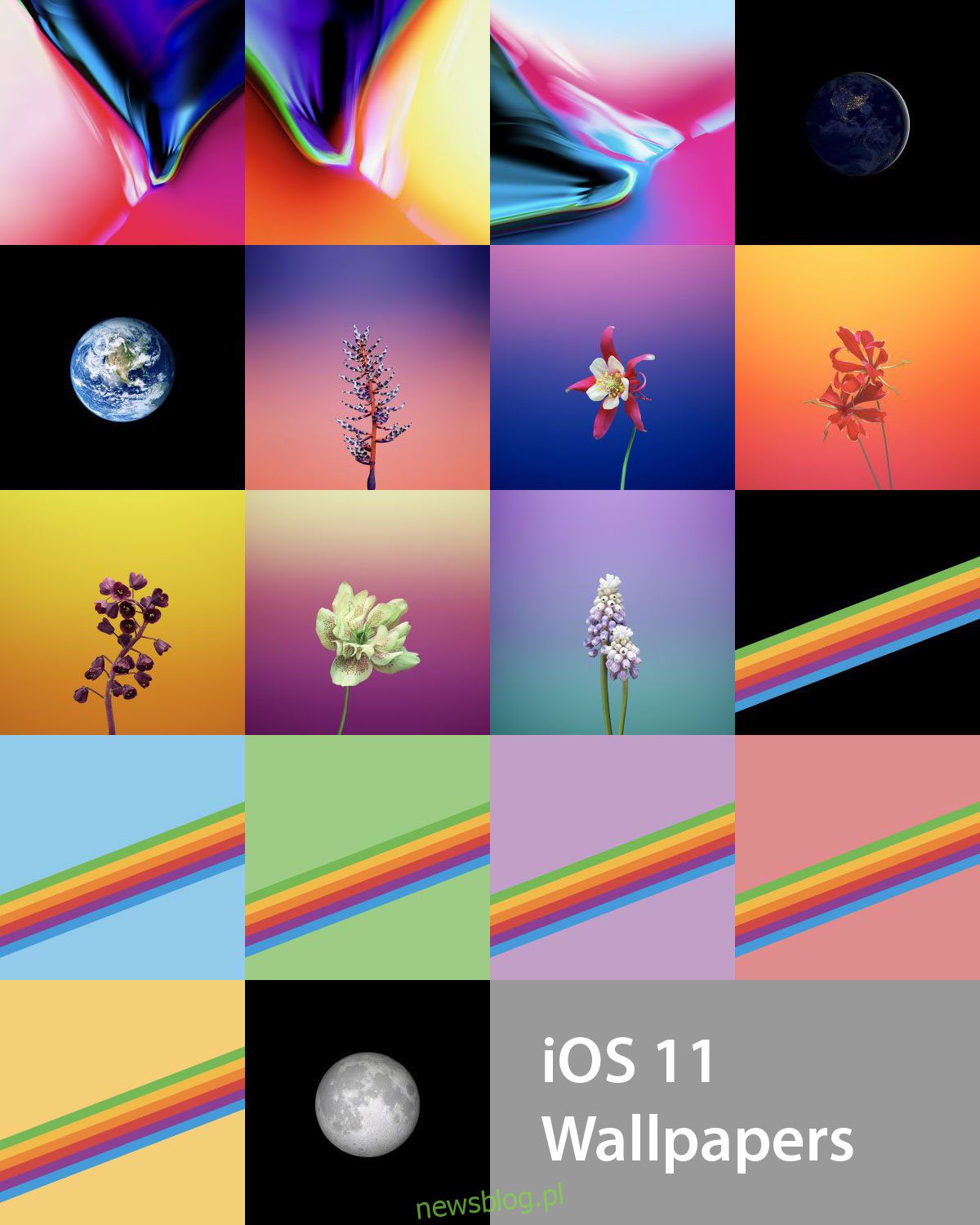 Bộ sưu tập 25 hình nền cho iPhone đẹp, chất lượng cao - Phần 1