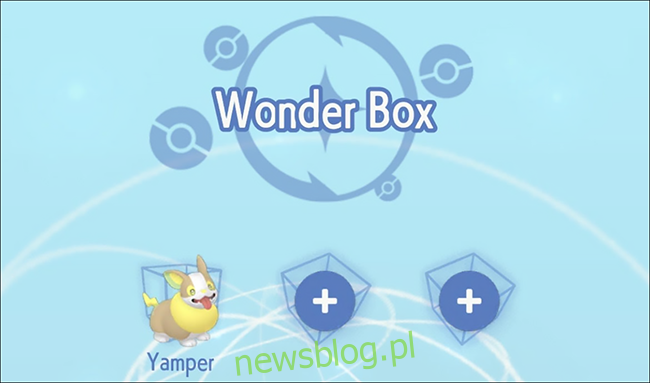 Một nhân vật tên là Yamper w Pokémon Trang chủ Wonder Box.