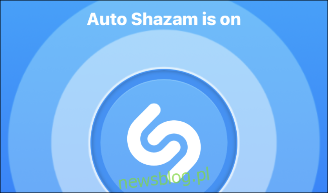 Auto Shazam được bật trong ứng dụng Shazam trên iPhone