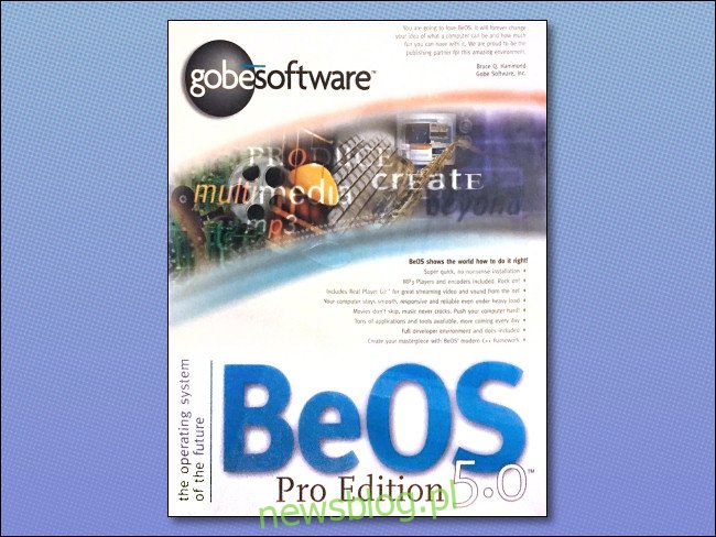 Hộp BeOS 5.0 Phiên bản chuyên nghiệp.