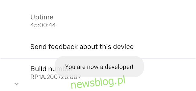 Truy cập tùy chọn nhà phát triển trong Android